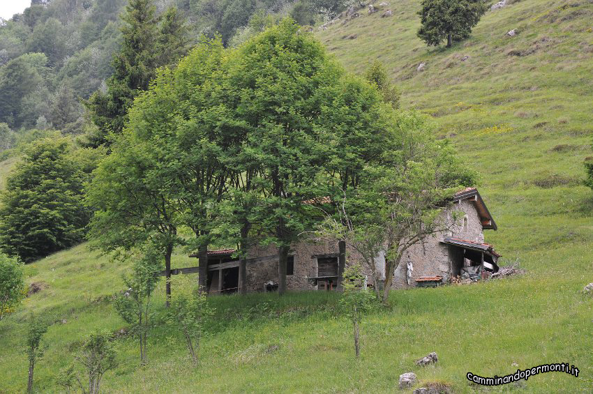 089 Baita Barbata.JPG